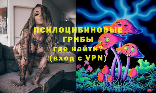 MDMA Premium VHQ Белокуриха